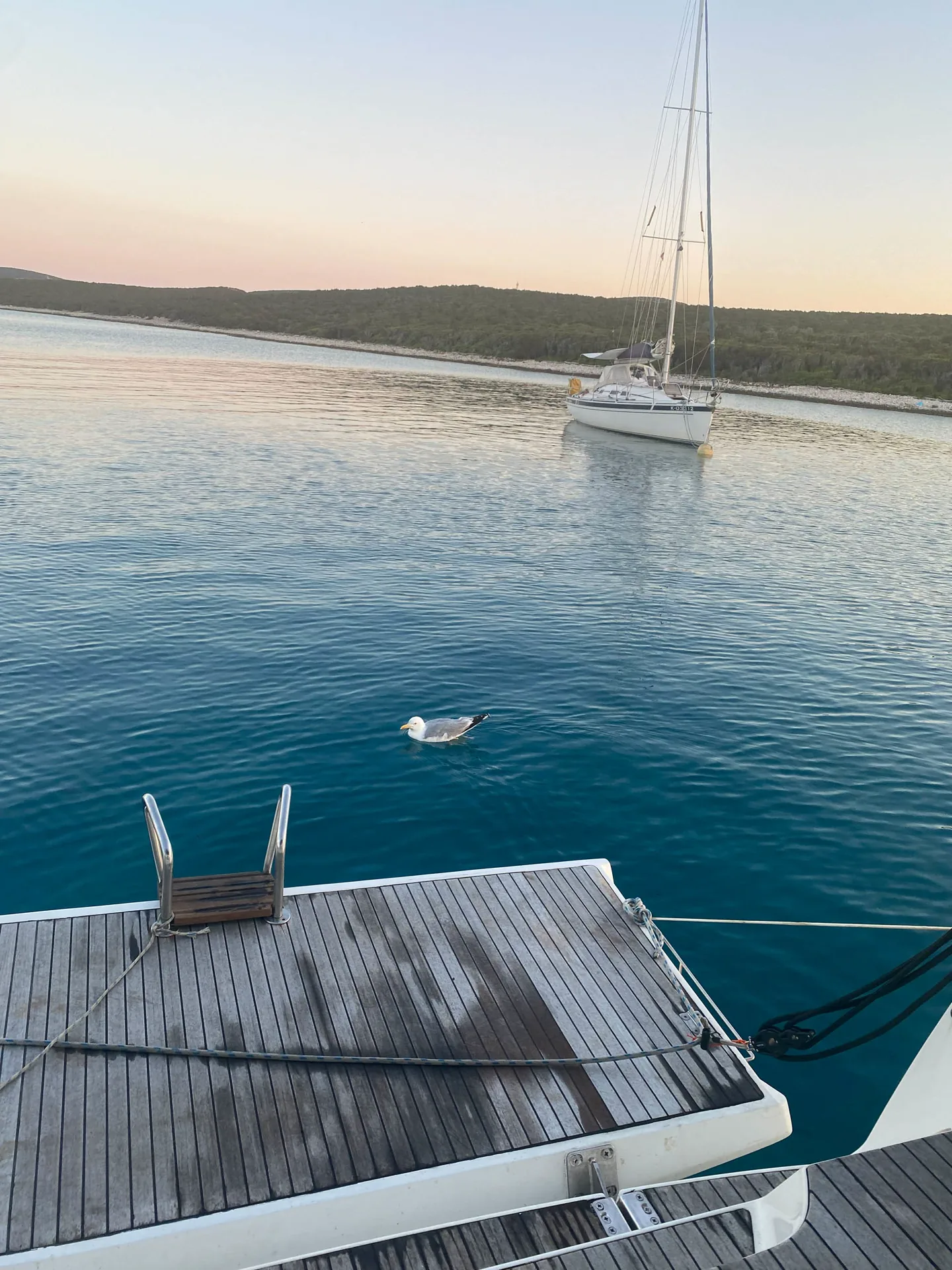 Segelyacht an einer Boje in ruhigem Wasser vor einer kroatischen Insel