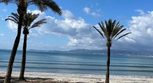 Bucht von Palma mit Palmen am Strand